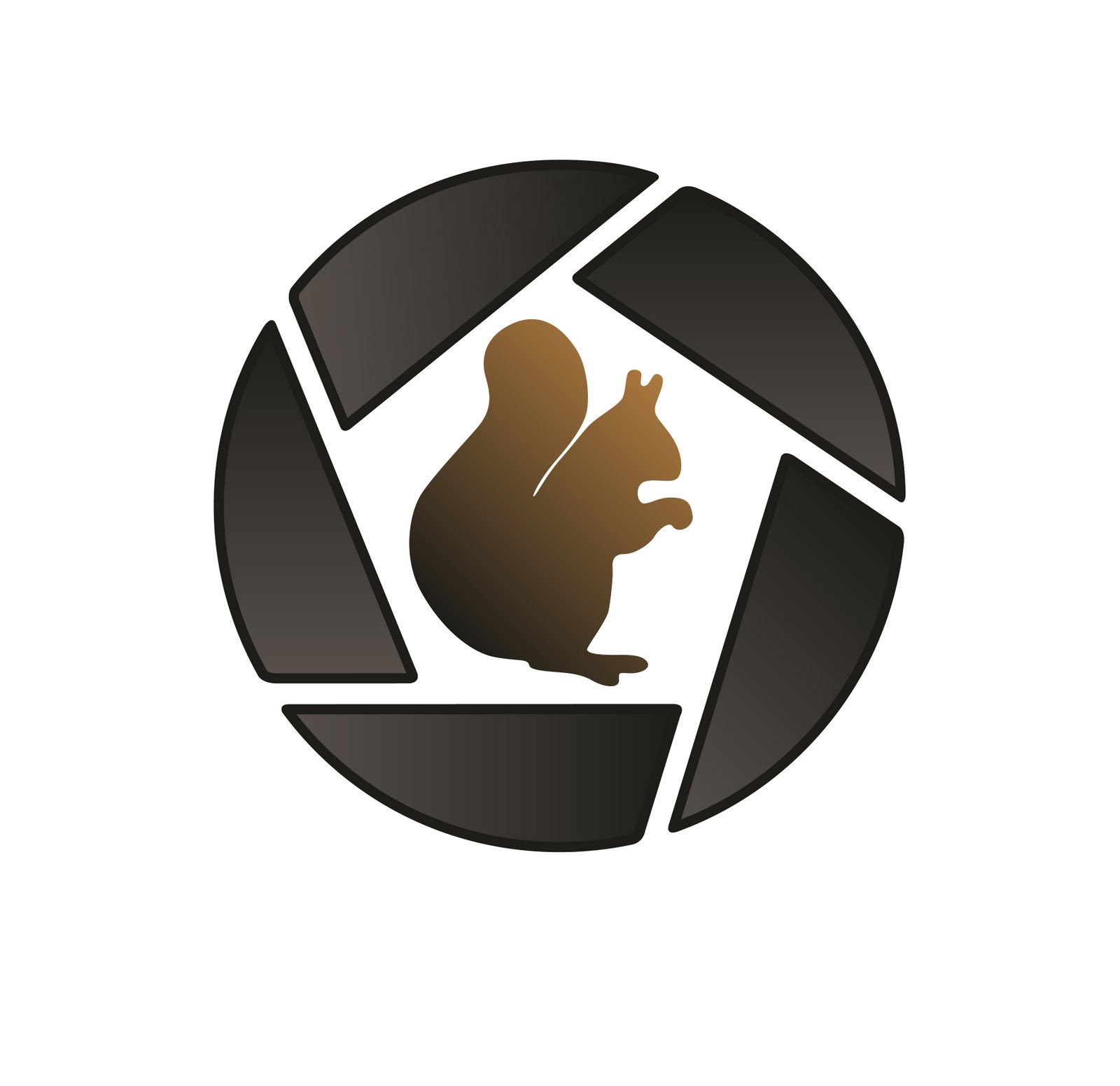 biofoto logo