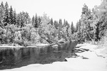 Vinter ved på Mangen