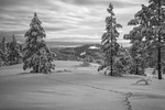 Telemark
