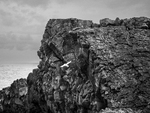 På vei mot havet
