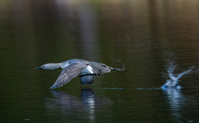 Takeoff