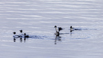 Landing