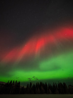 Aurora i rødt og grønt