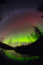 Treenighet