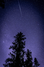 Falling star