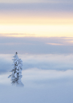 Helt Alene Over Skyene