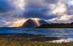 Lysgløtt
