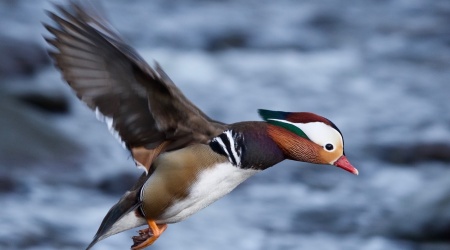 Foto Einar Hugnes