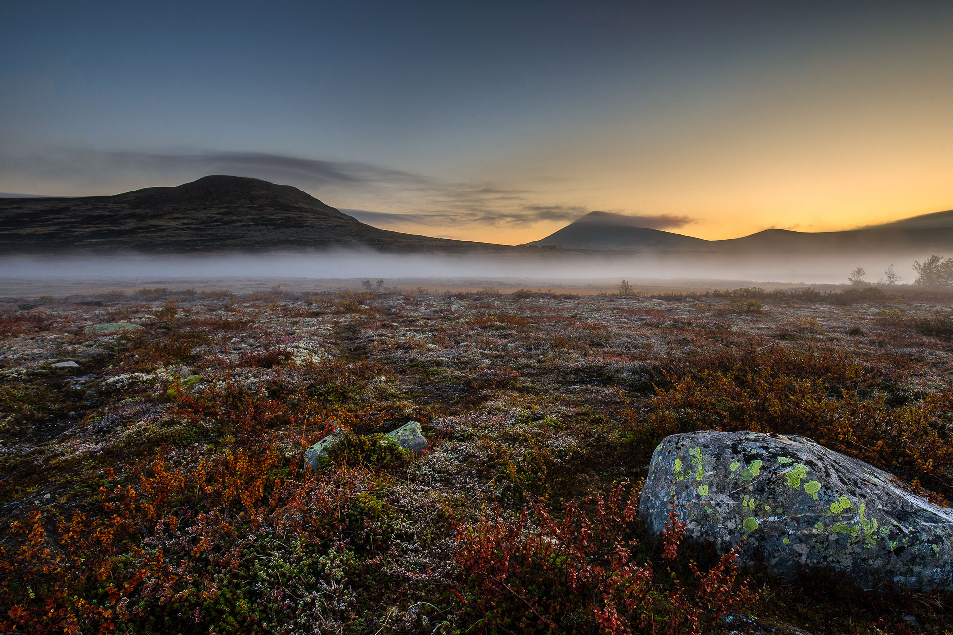 Finn-Arne-mortensen_nordland_morgendis_venabufjell