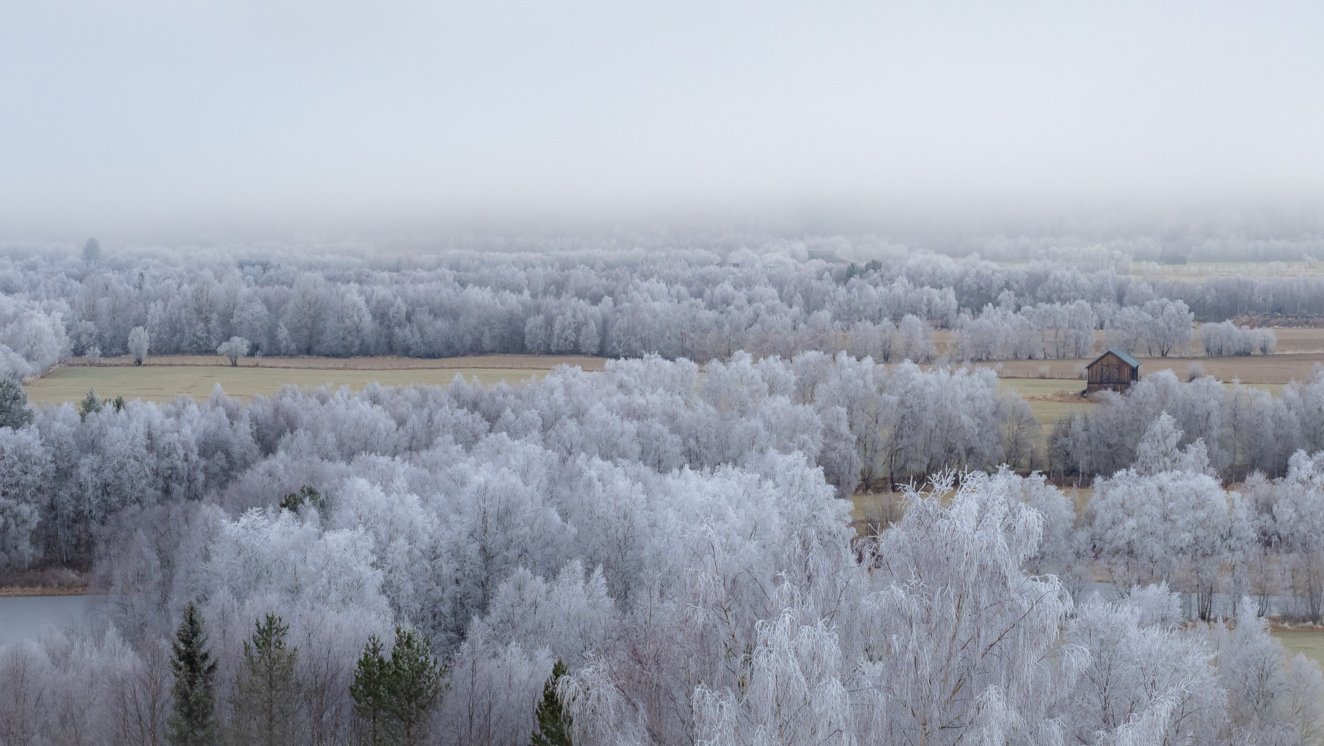 Geir-Ludvigsen_indreostland_eventyrskogen