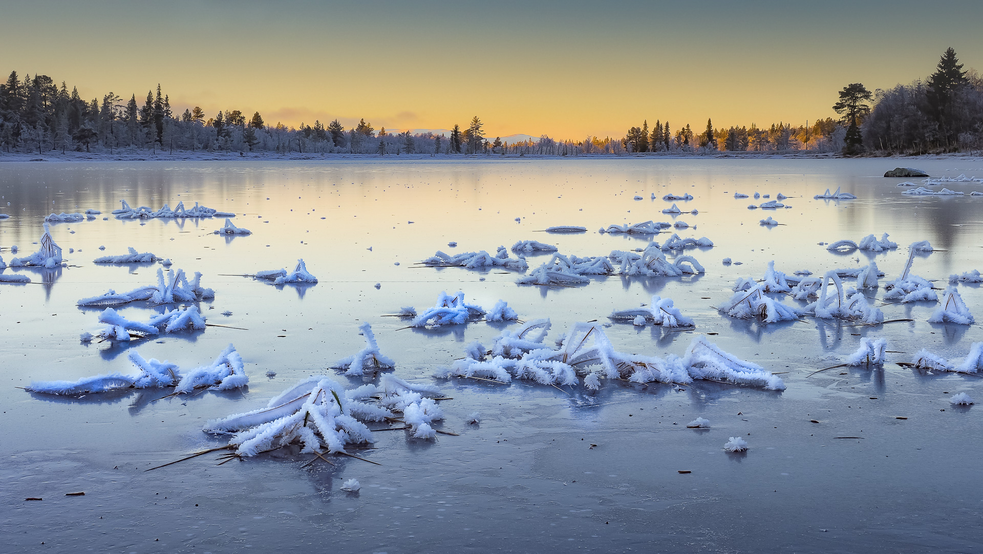 Geir-Ludvigsen_indreostland_frost-paa-tjernet