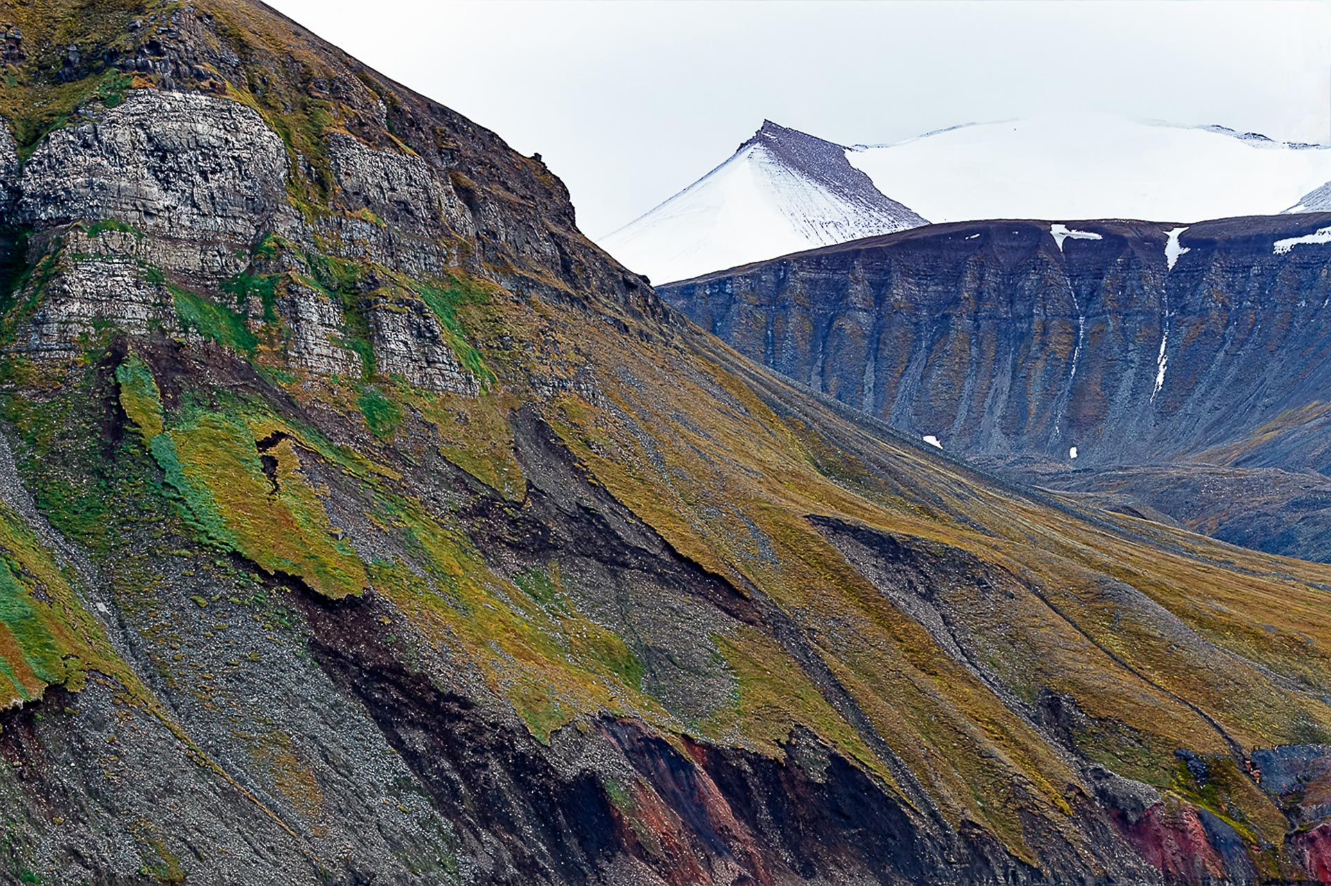 Knut-Mørkhagen_Nordland_Sjeldne-farger-på-Svalbard