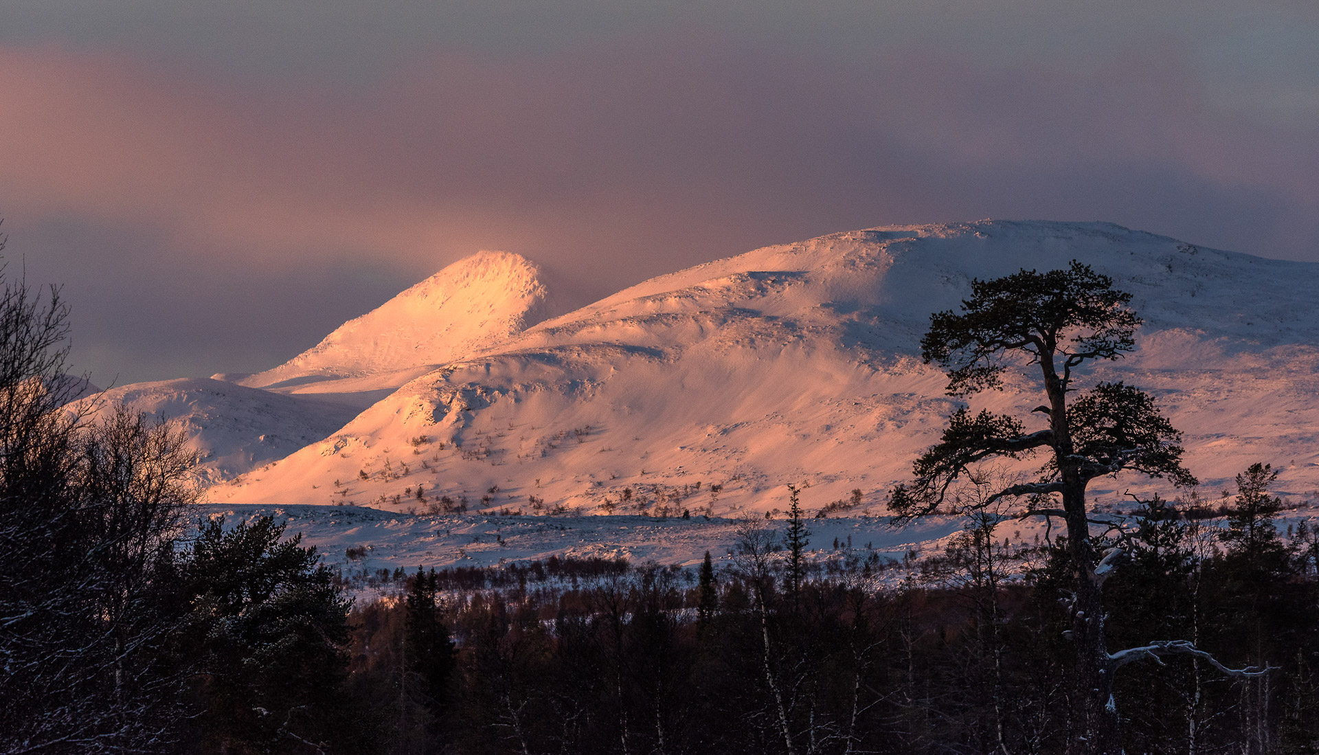 Odd-Egil-Bakken_indre-ostland_valdalsfjella