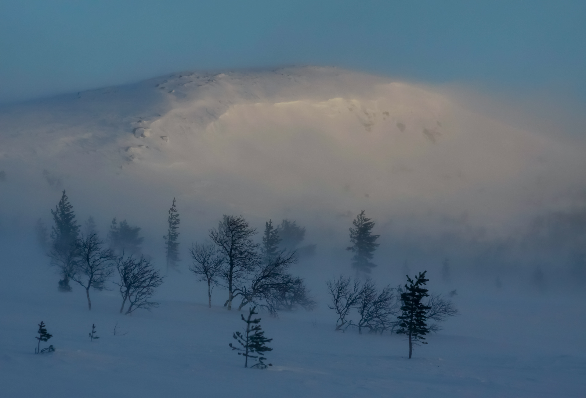 Sigrid-Eggen_Indre-Ostland_Valdalsfjellet.-2544