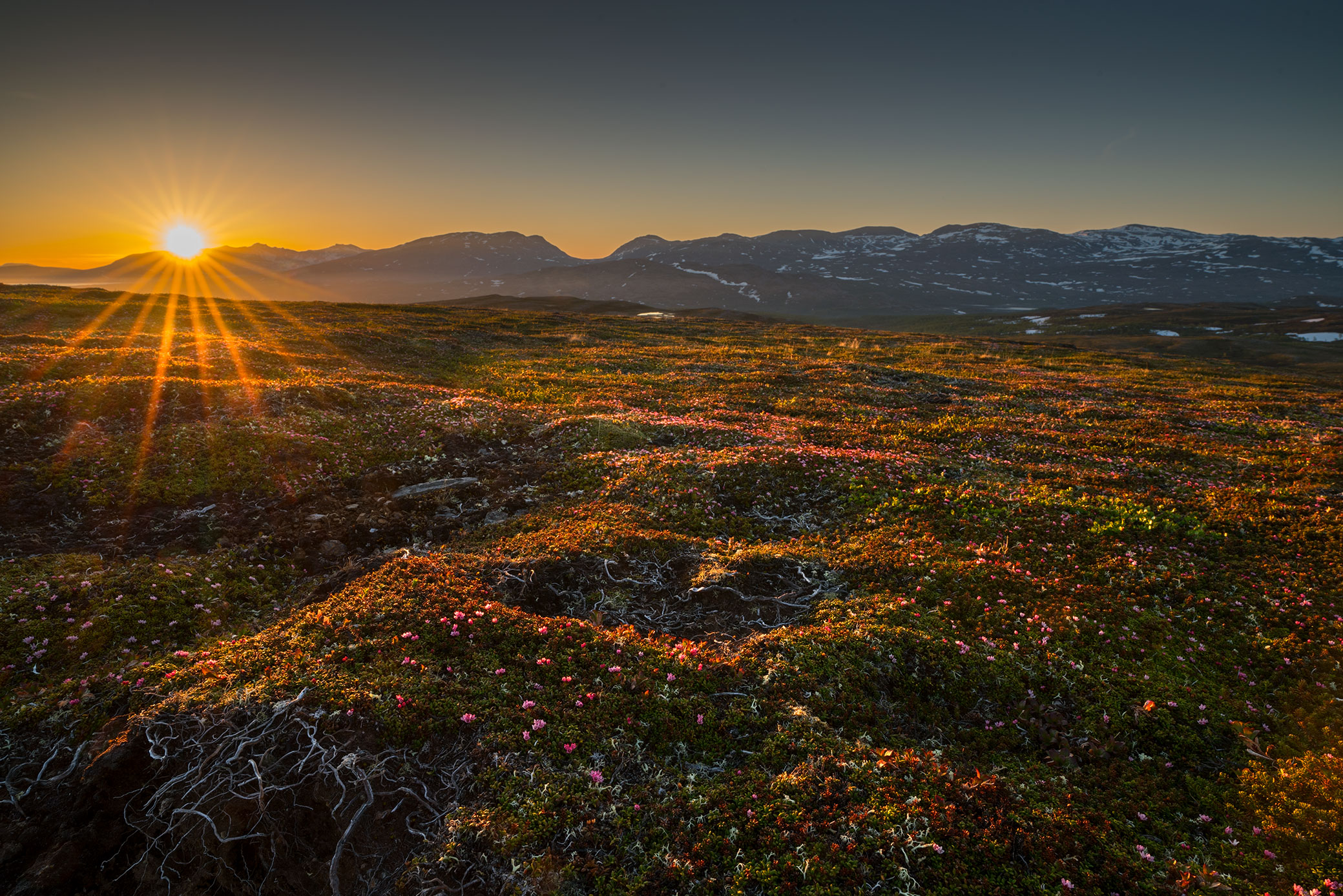 SkarvRolt-Skardsfjella