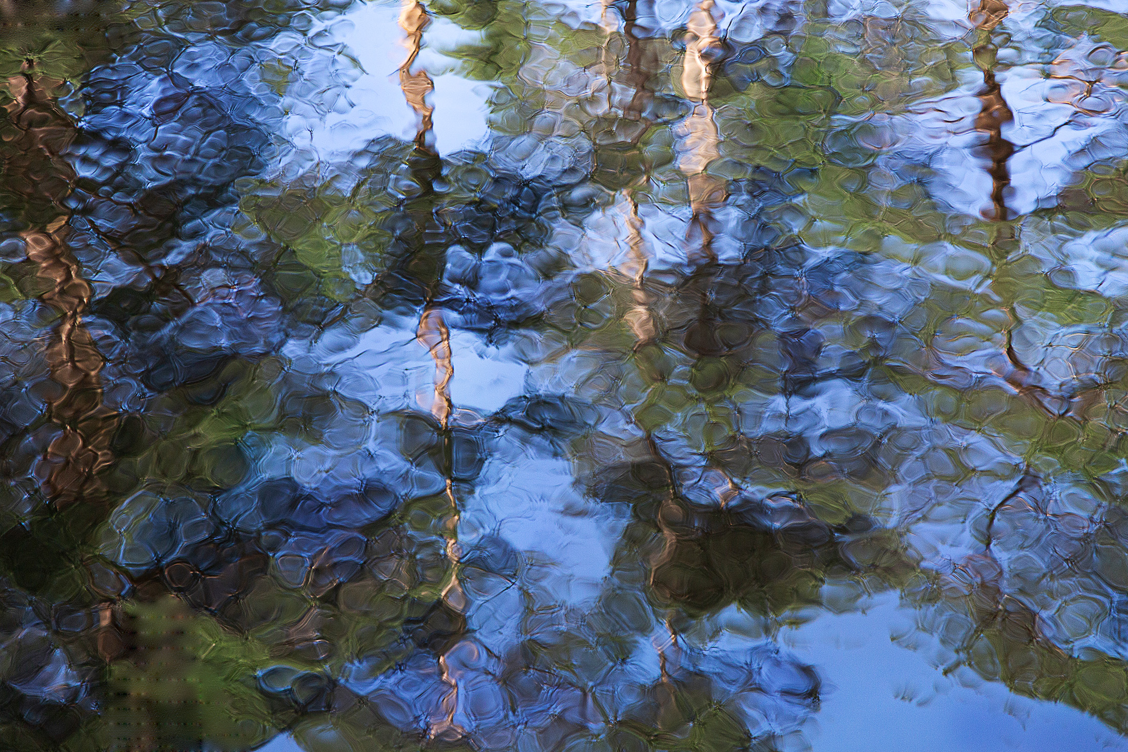 1587261487-Kjersti-Holst_østlandet_refleksjoner