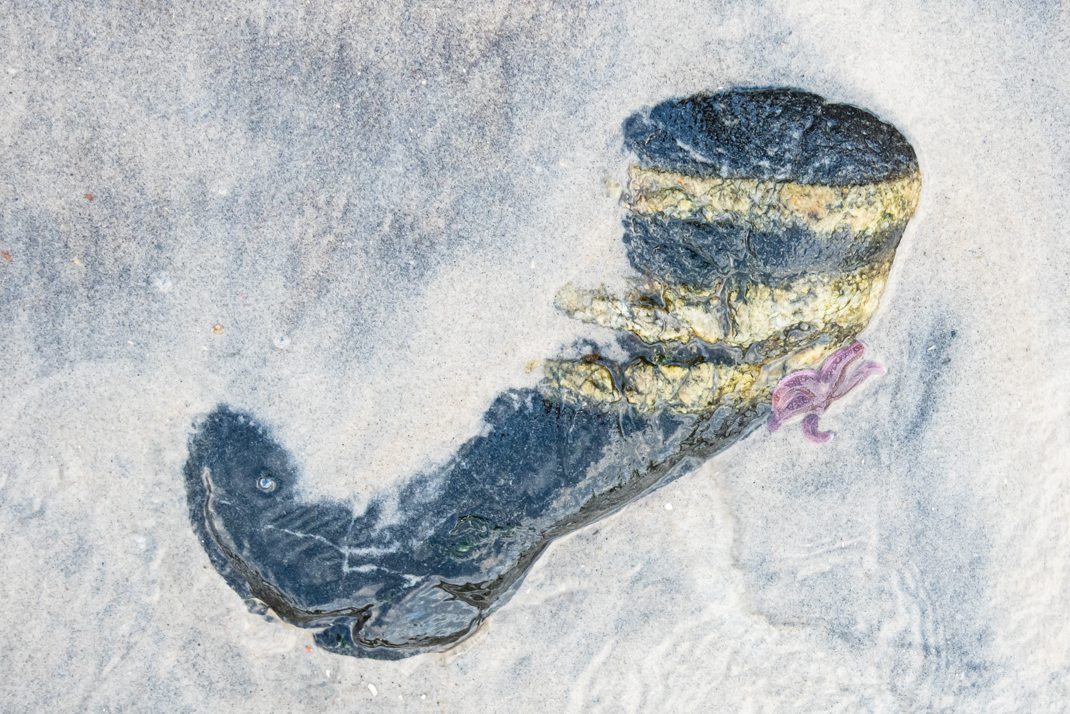 Terje-Aleveberg_sorland-Boot