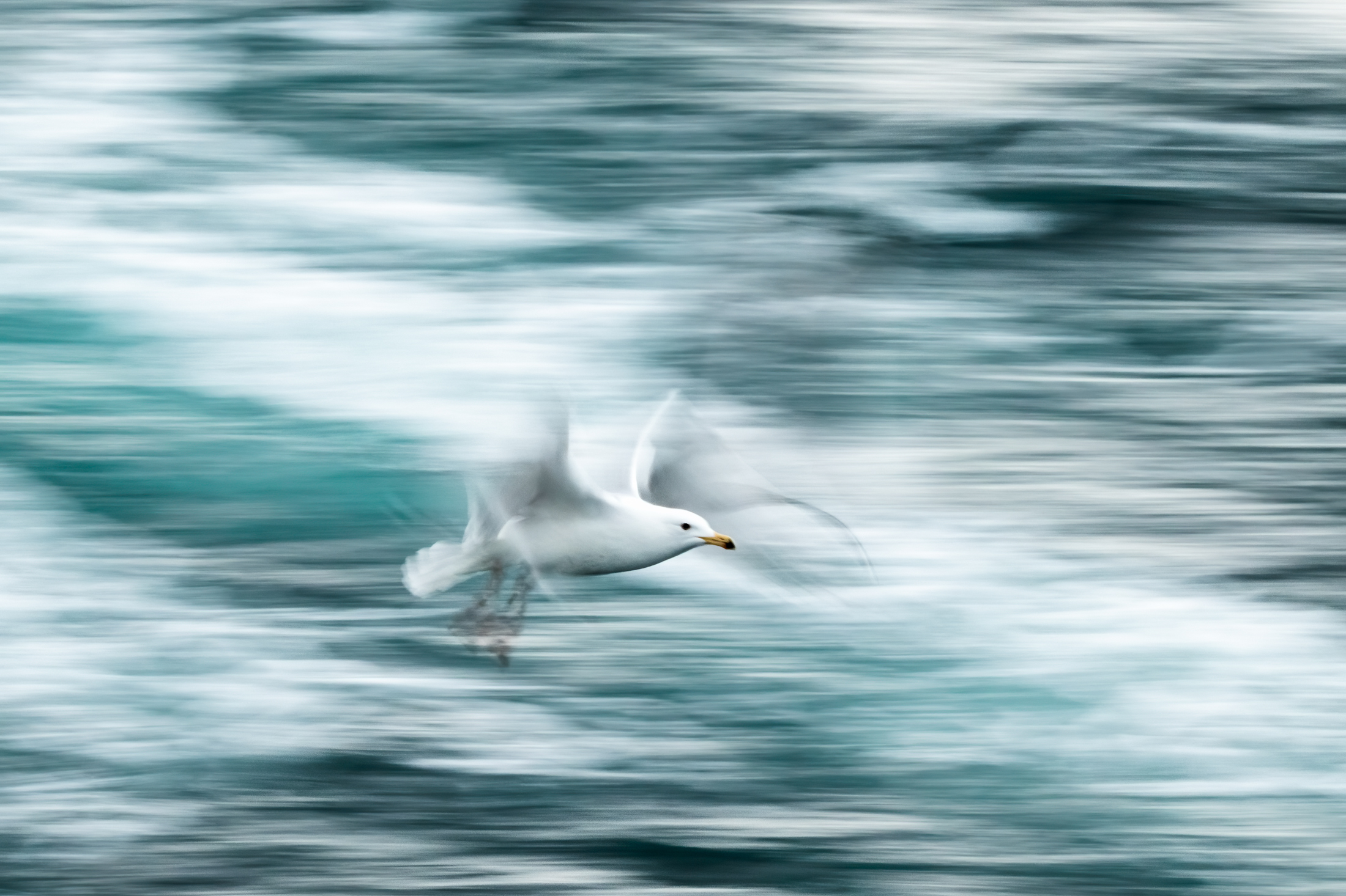 Bente-Grude-Borgos_Nordland_I-full-fart-over-Saltstraumen