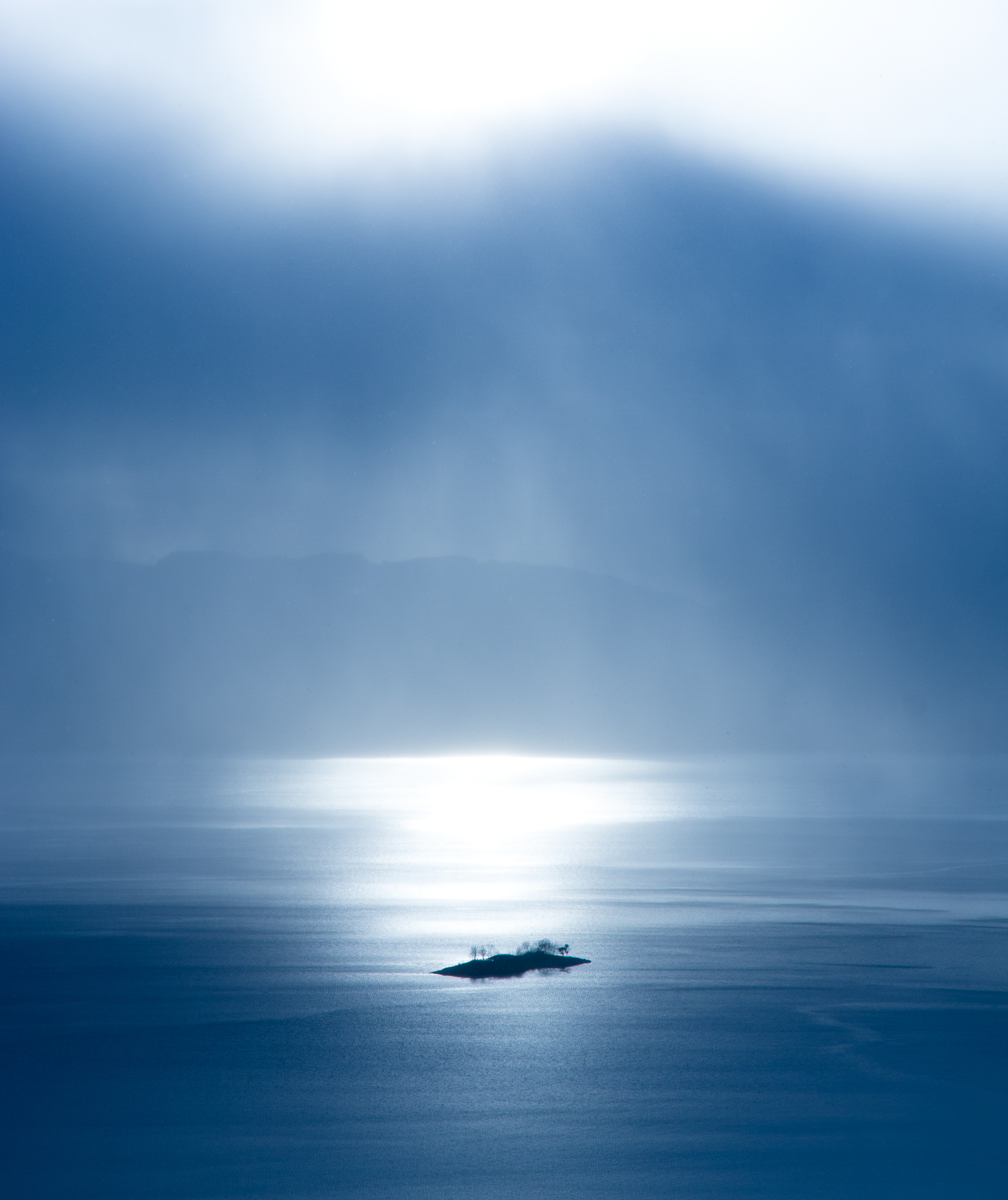 Bjarte-Hoff_nordland_Svanholm.jpg