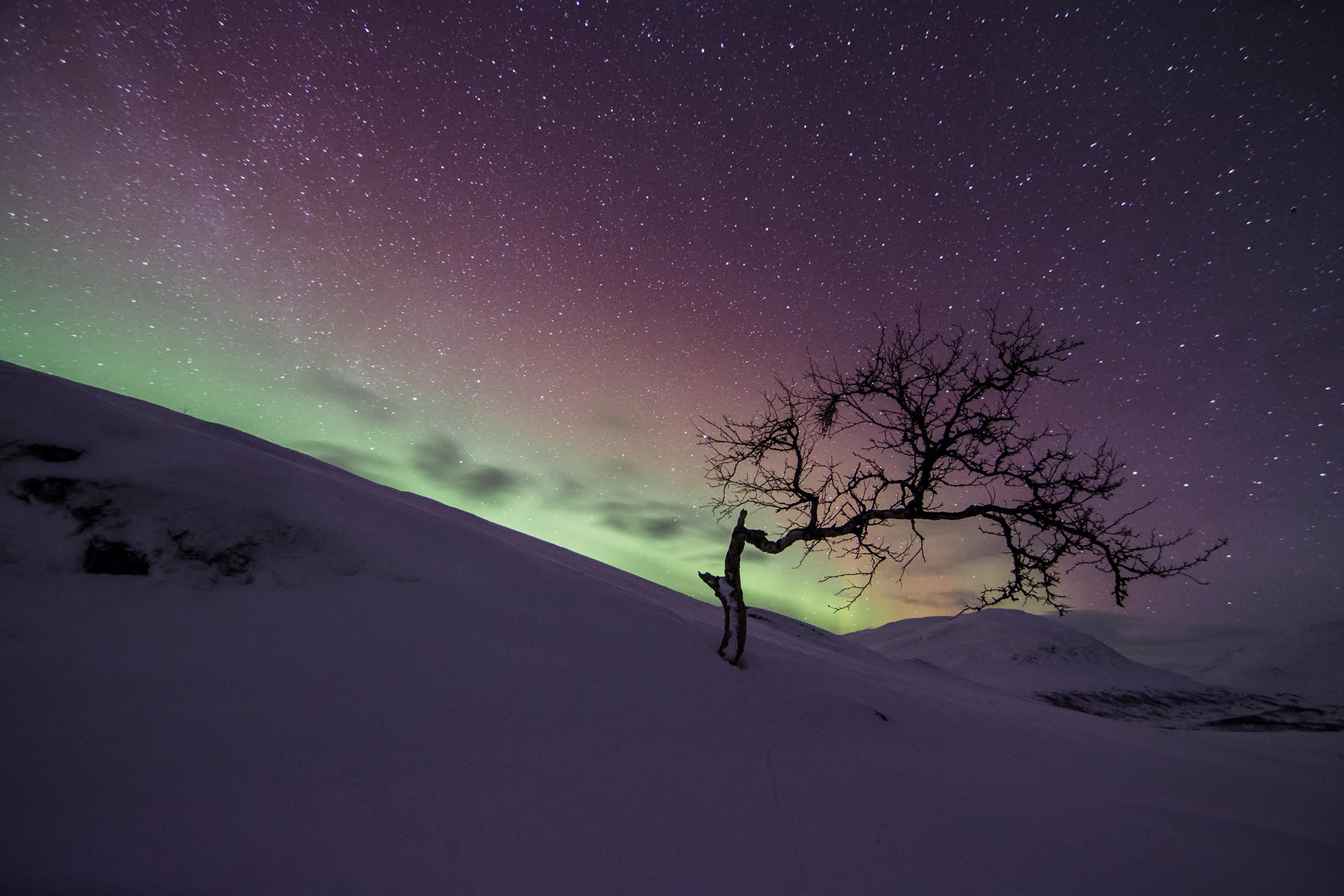 yvonne rendahl_nordland_nordlys