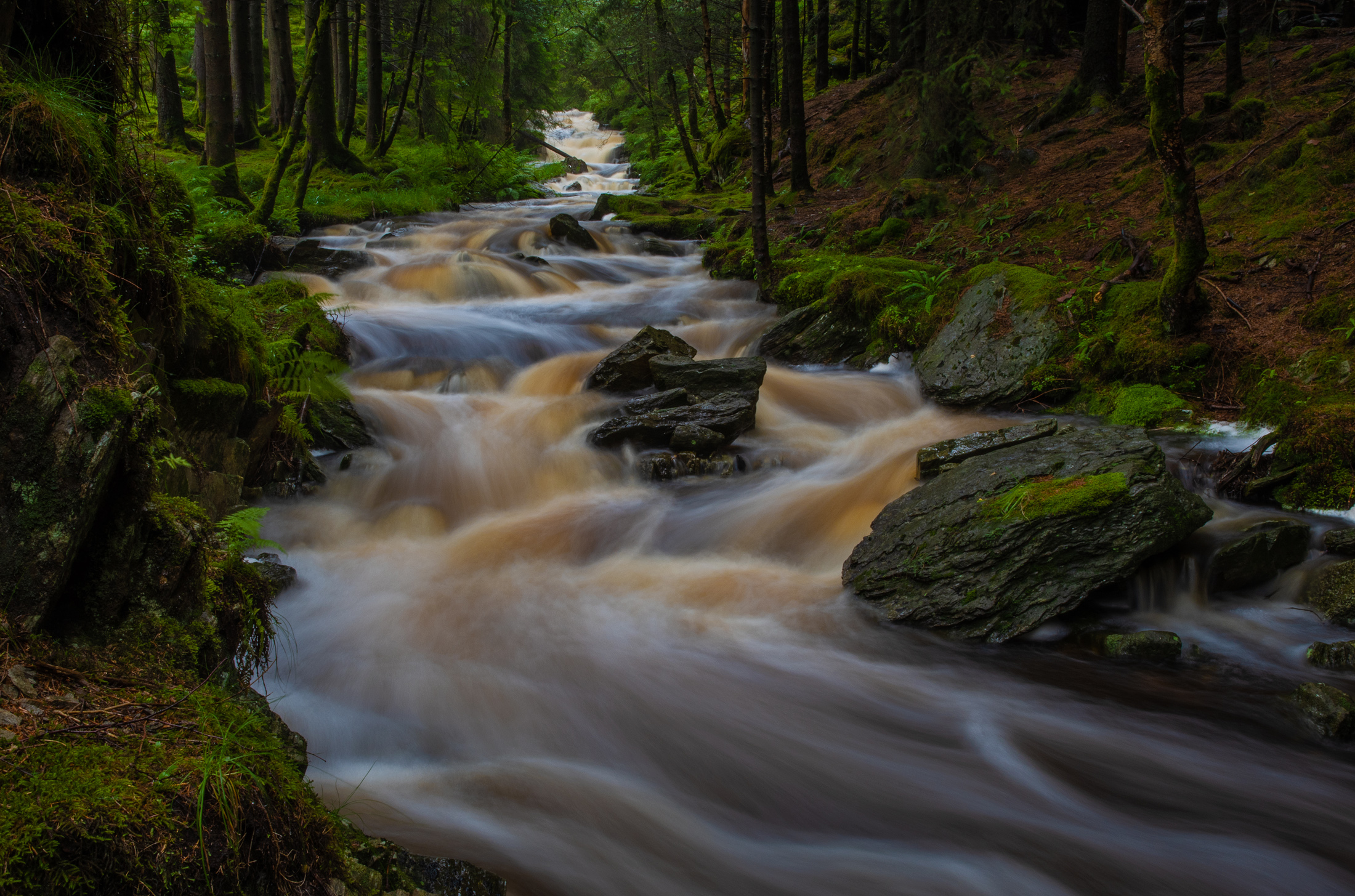 1599749350-Djupadalselva Ukjent fotograf-feil filnavn