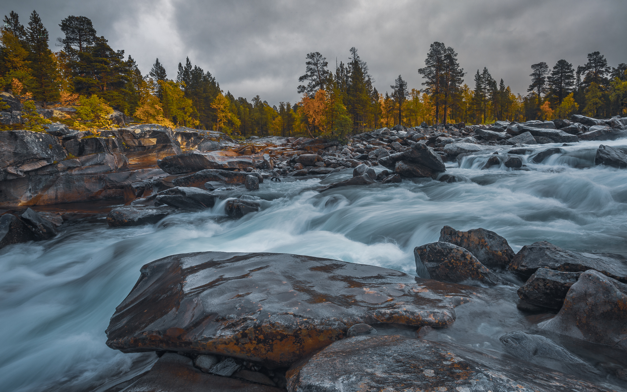 Tommy Andreassen Nordland_Saltfjellet