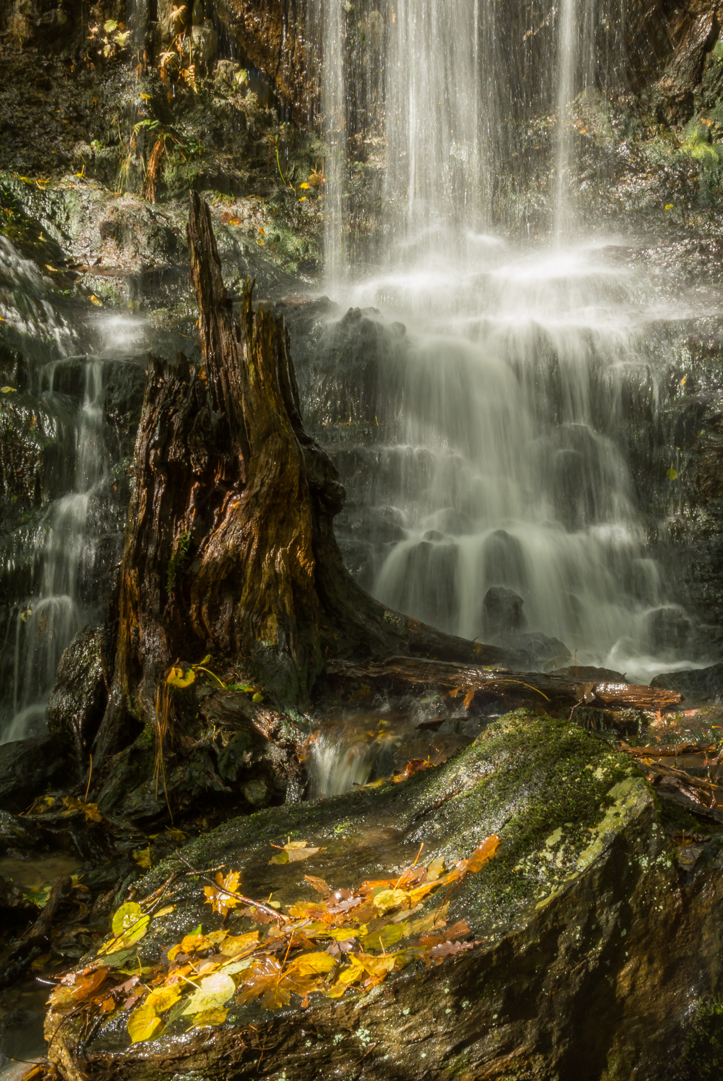 Tone Heggelund_sorlandet_eventyrfossen-2