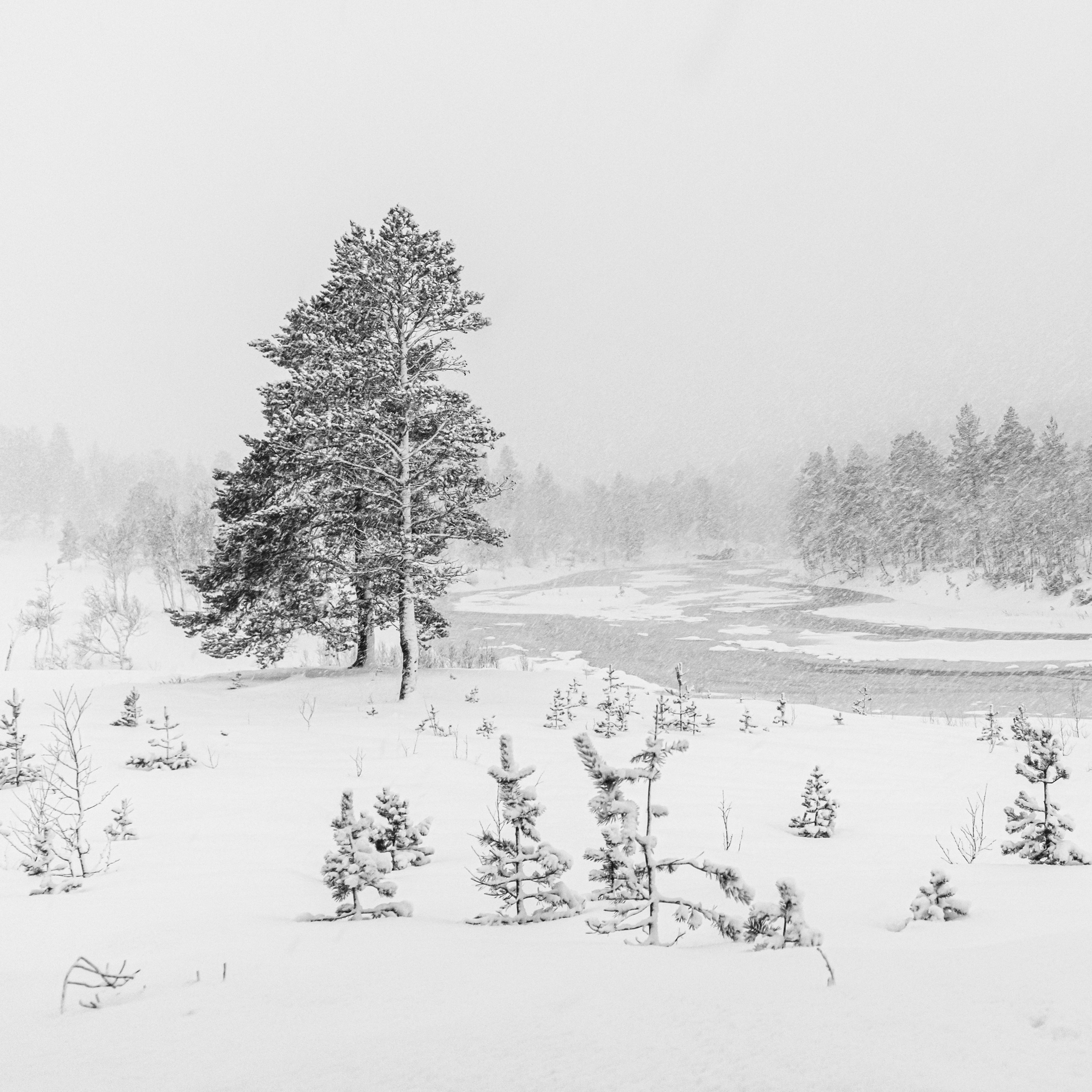 1619071857-Geir-Antonsen_Nordland_Winter-Wonderland