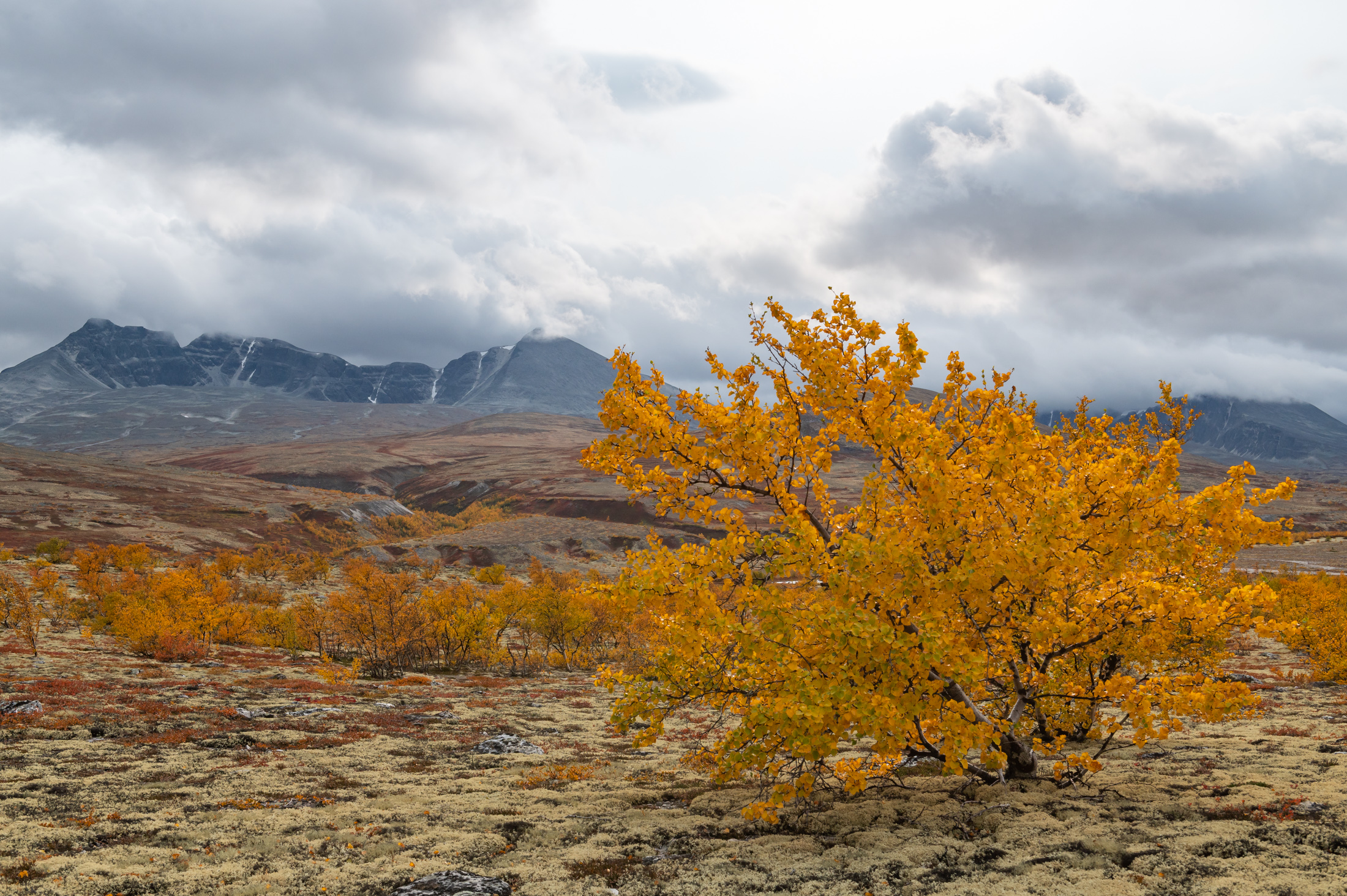 1630072115-Bard-Ropstad_Sorlandet_Autumn-in-Doralen