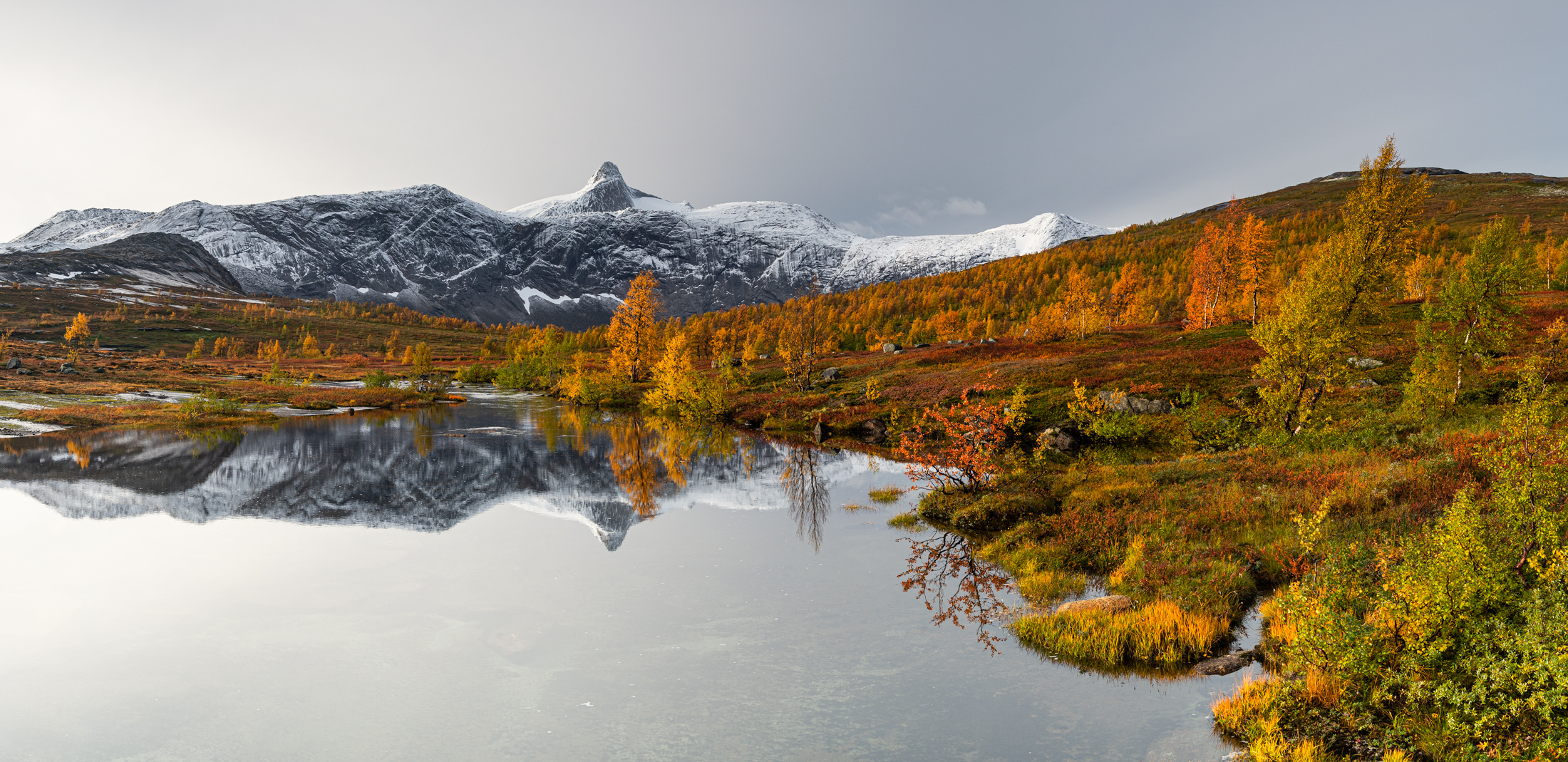 Gaute-Froeystein_nordland_Autumn-in-Gjerdalen.jpg