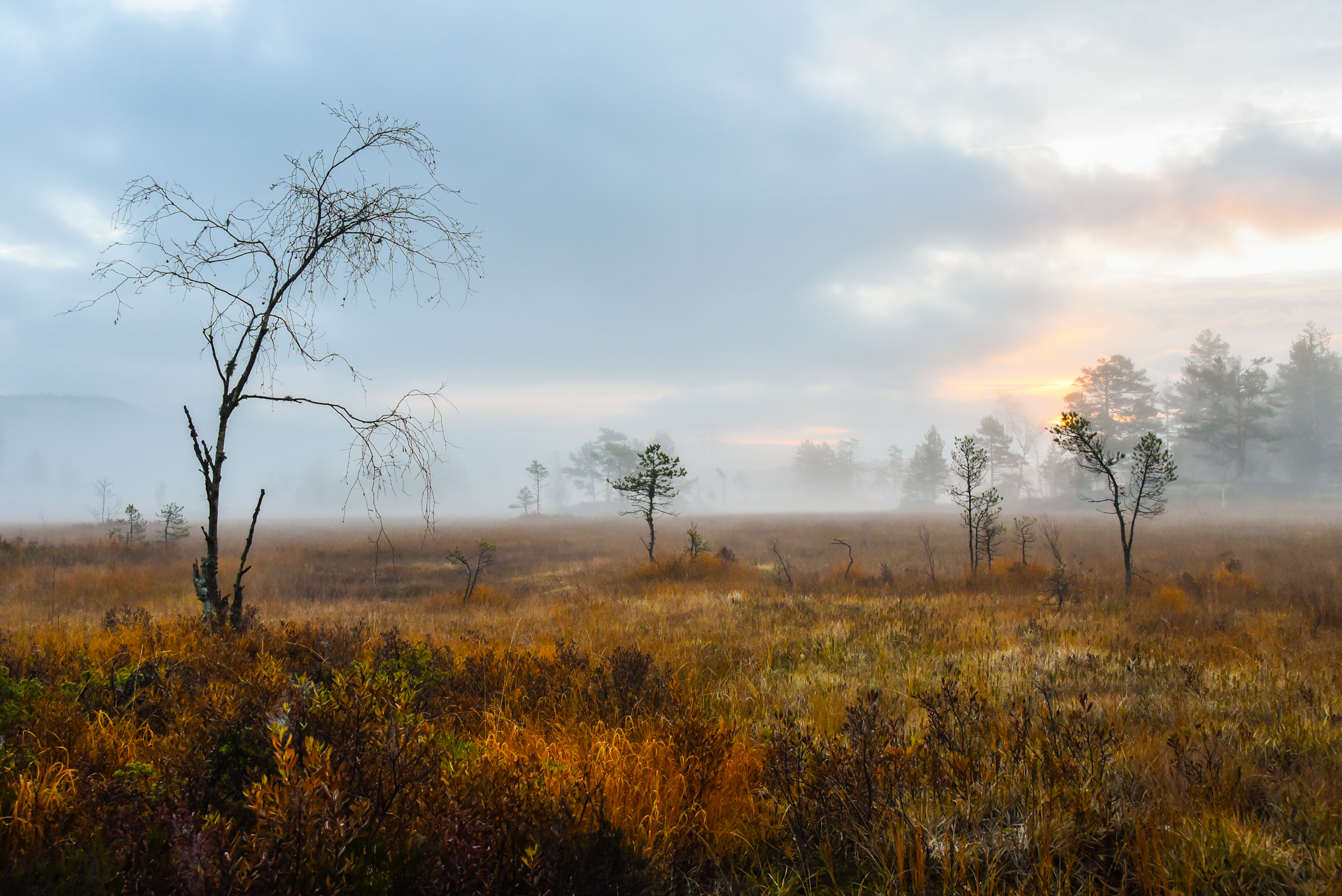 1632036995-Terje.Alveberg_Sorland_Autumn-Morning