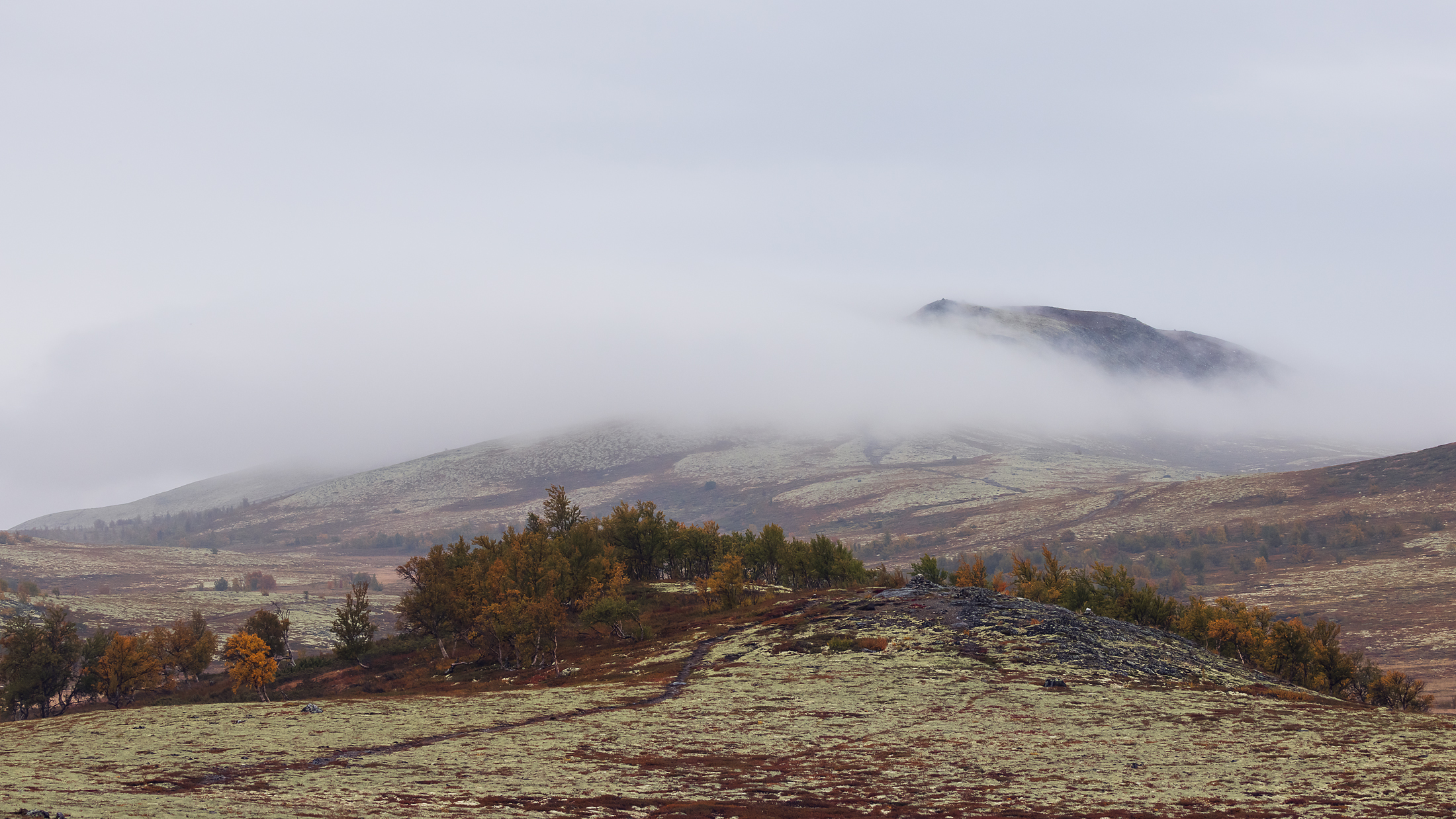 1632415809-Thor-Arthur-Didriksen_Troms-og-Finnmark_Taakestemning-ved-Furuhauglie