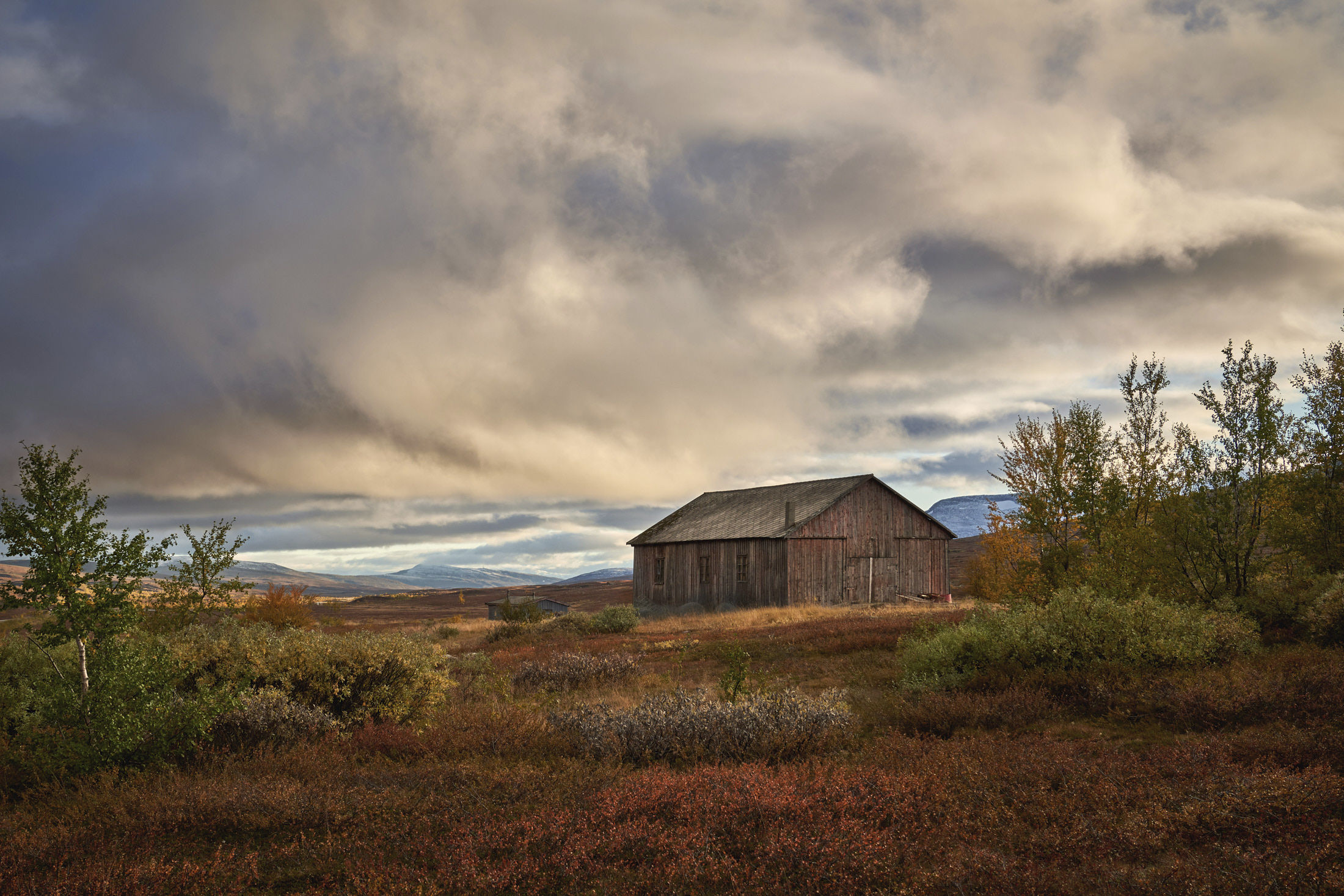 1632432374-Rune_Mattsson_Nordland_Host-pa-Saltfjellet