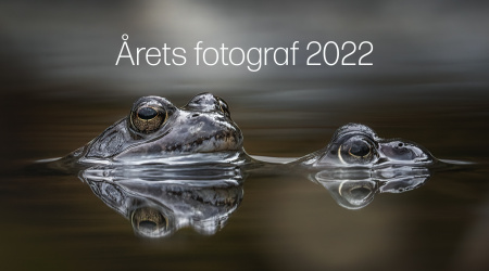 Årets fotograf 2022. May Lise Blikeng