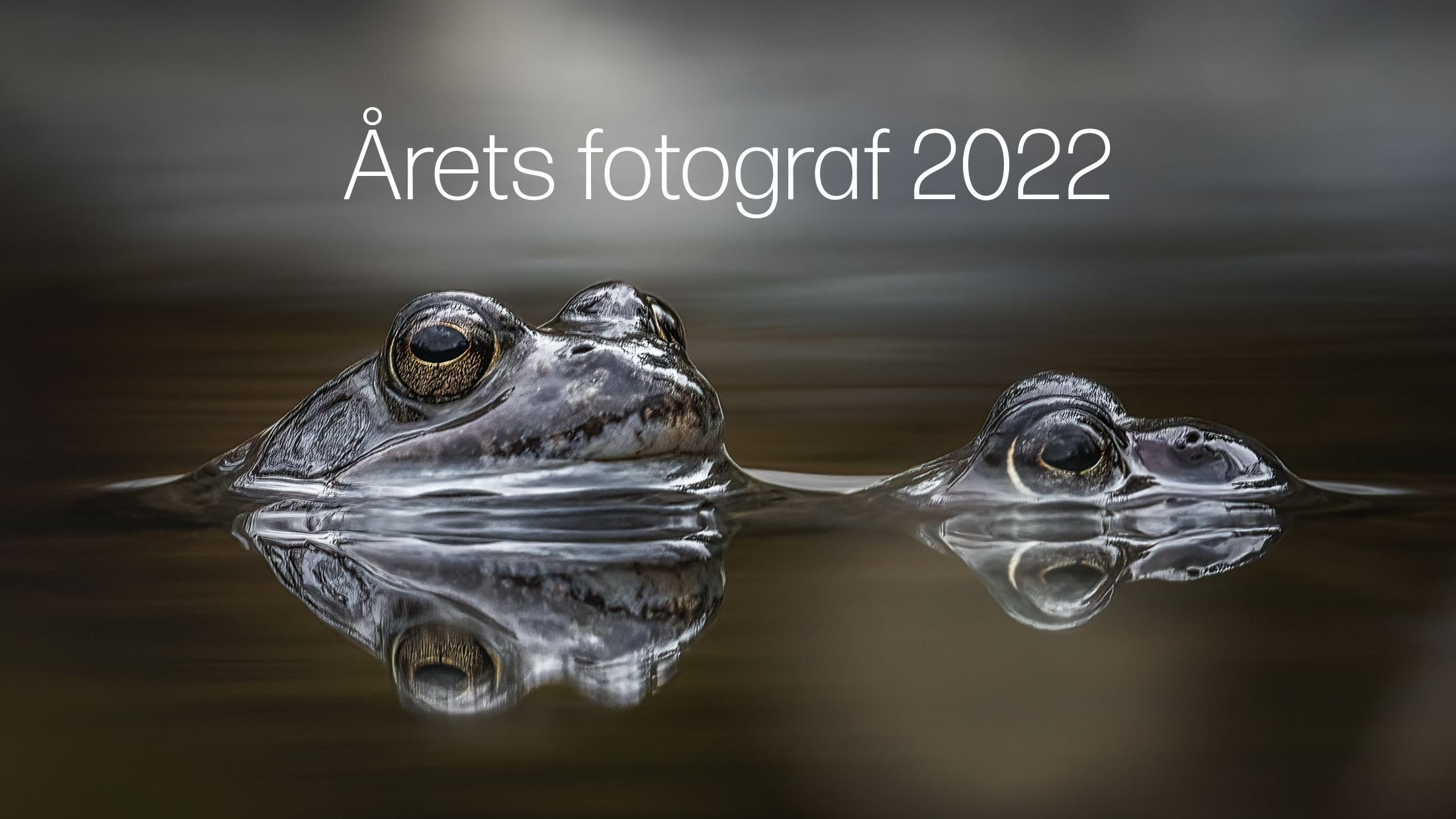 Årets fotograf 2022. May Lise Blikeng