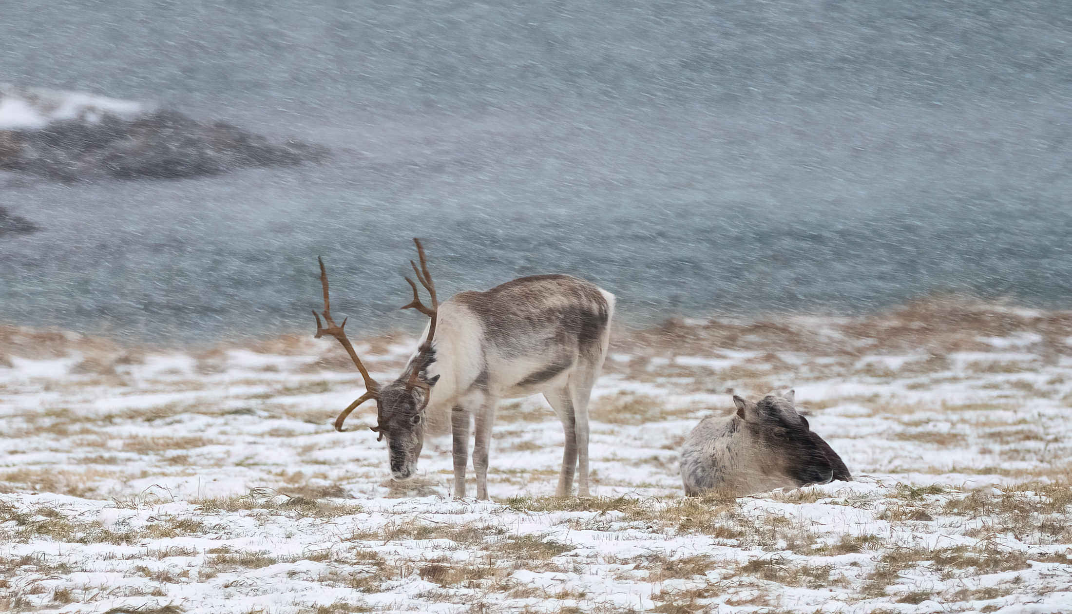 1695227091-Grete-Stensroed-Nordland-Fatt-mot-min-elskede