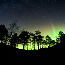 Elena Peregudova-MidtNorge-Aurora trees