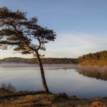 Guro Sandsgaard-Rogaland-Vindskeivt