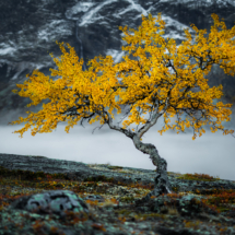 Henrik Strømstad-Østlandet-Jotunheimen