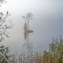 Hermod Sture Dreiås-MidtNorge-Grana