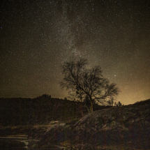 Kristin Sandstrak-Nordland-Under melkeveien