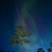 Stian Krane-Nordland-Tre i nordlys 1