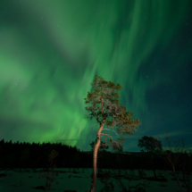 Stian Krane-Nordland-Tre i nordlys 2