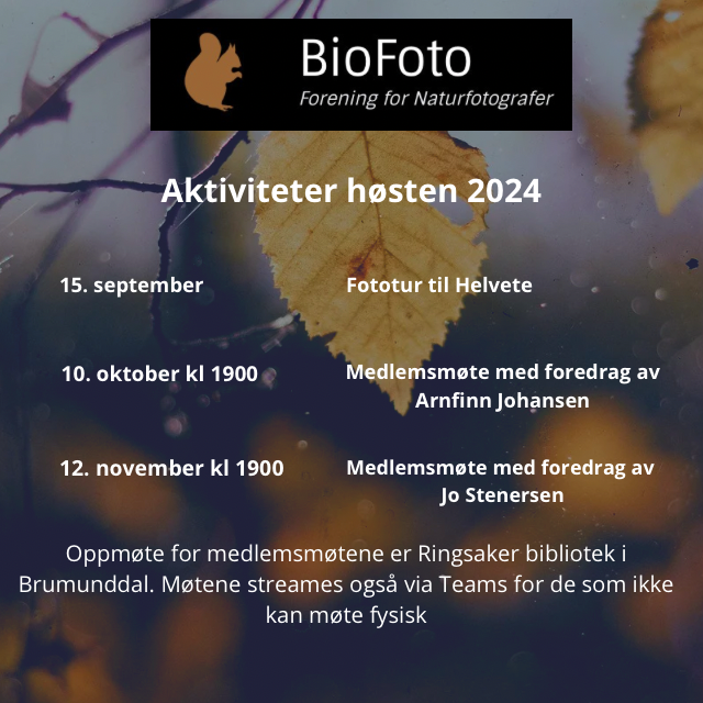 Program for høsten 2024