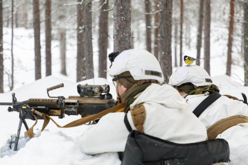 Midt-Norske NaturFotodager 2024 – vi presenterer Tobias Gjerde