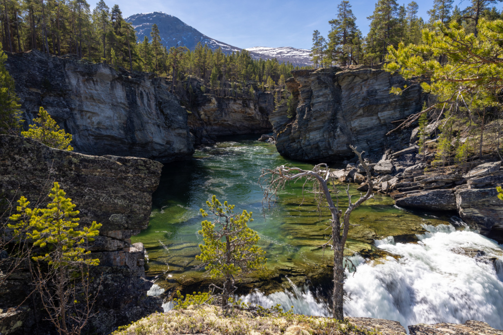 Fototur til Sjodalen med Biofoto Innlandet