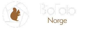 BioFoto - Forening for Naturfotografer
