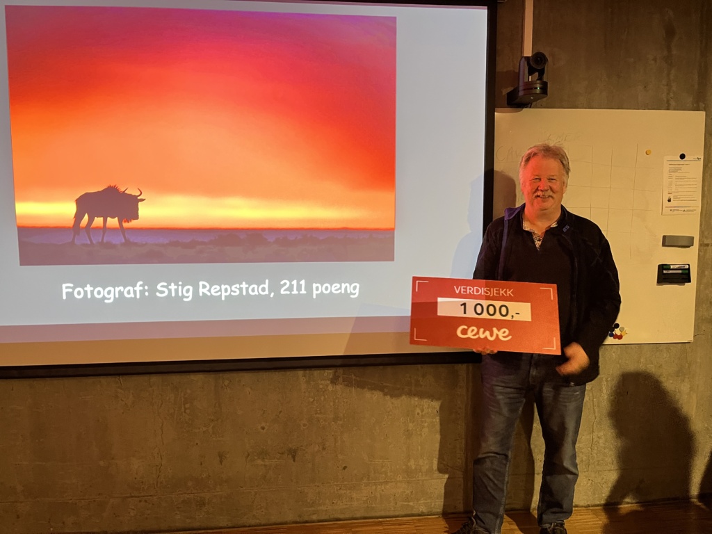 Tok månedens bilde for oktober