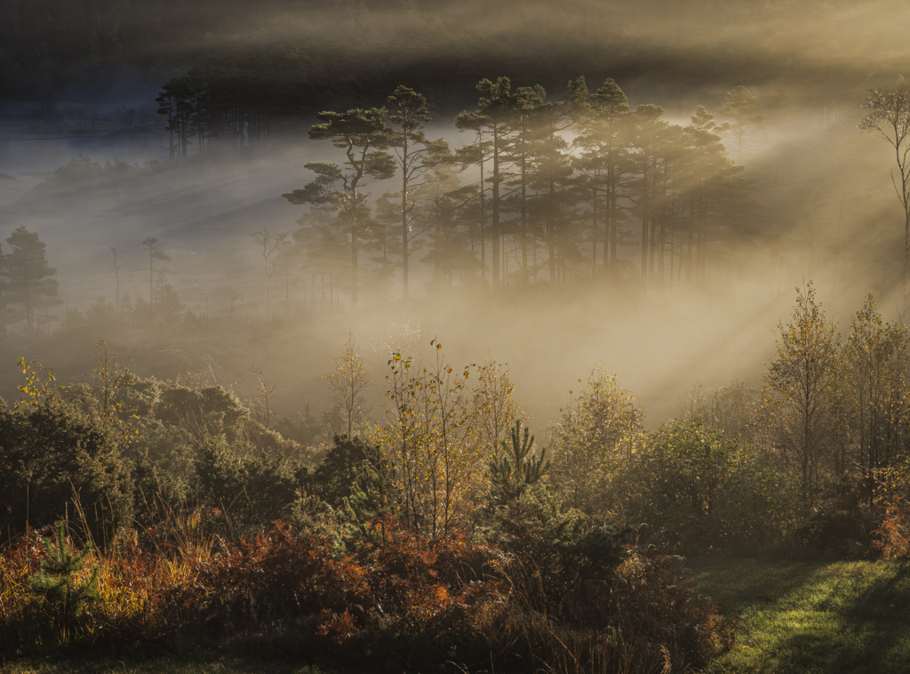 Tok månedens bilde for november