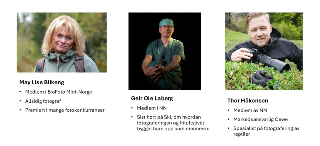 Tre nye navn er klare for Midt-Norske NaturFotodager 2026